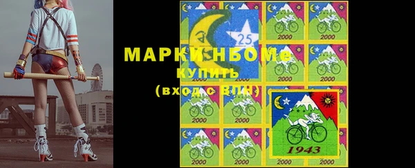 2c-b Новозыбков
